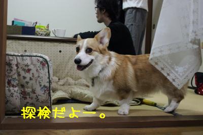 探検だよん♪