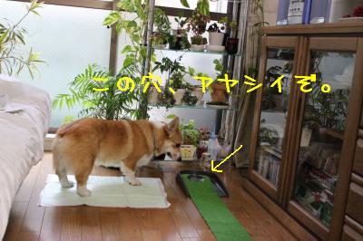 この穴は・・・