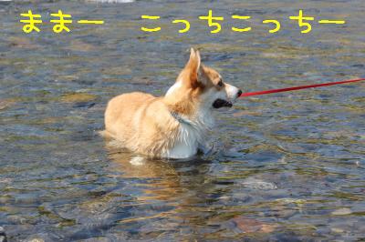 ままこっちおいでー