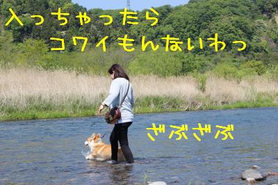 ヤケになるまま