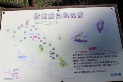 霞丘陵自然公園