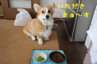 いただきます☆