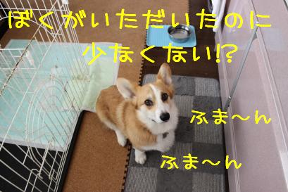 少なくね!?