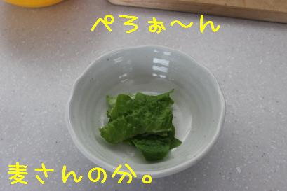麦さんの