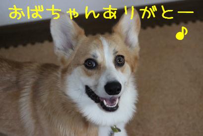 おばちゃんありがとー♪