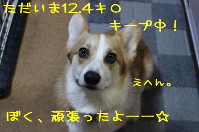 すれんだー麦さん。