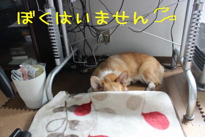 隠れているつもり。