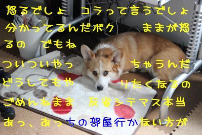 何かしたでしょ。