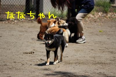 ななちゃん