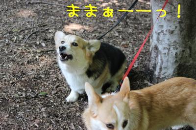 ままー!!