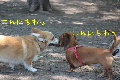 ご挨拶