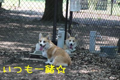 ホント仲良し