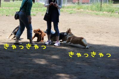 みんなで遊ぼう。