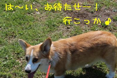 お待たせー☆