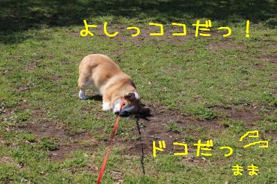 スタート!