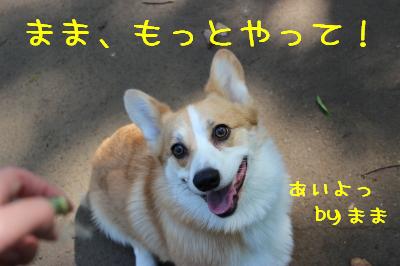 まま~もっと~!