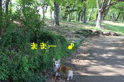 楽しいらしい。