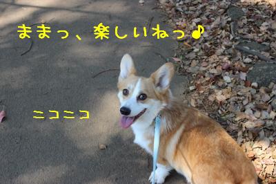 楽しい??