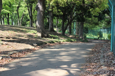 散歩道