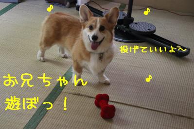 お兄ちゃん遊ぼ♪