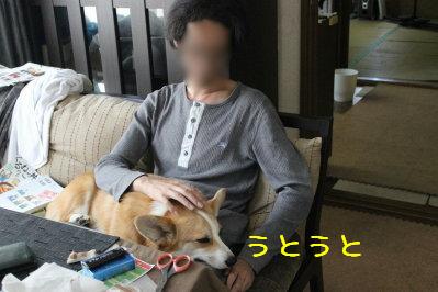 はしゃぎ疲れ