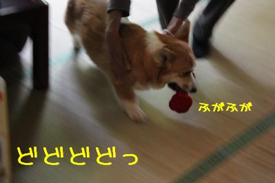 ブレブレ