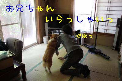 熱烈歓迎