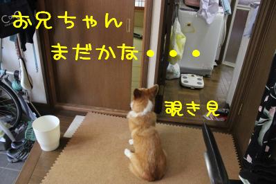 お兄ちゃんまだかなー