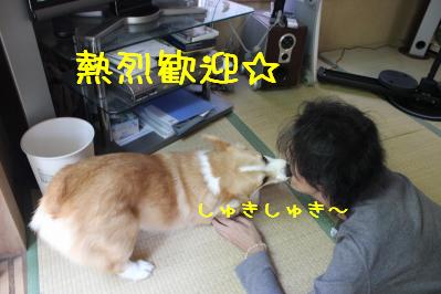 しゅきしゅき