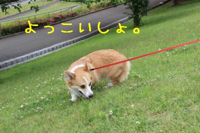 立ちあがる