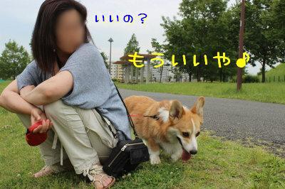 もういいや。