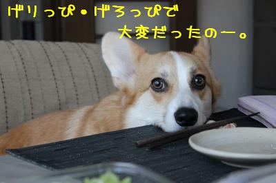 げろっぴ&げりっぴ麦