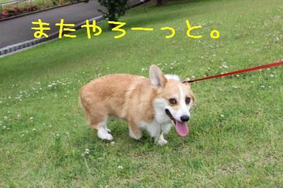 上へ戻る