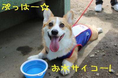 ぷっはー!