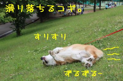 滑りながらすりすり
