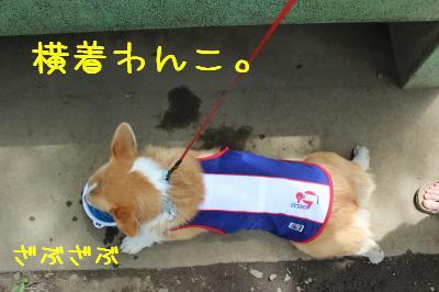 横着飲み