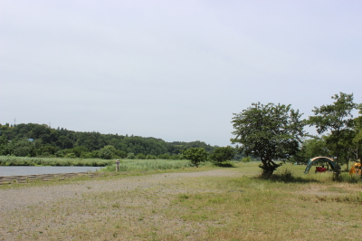 多摩川河川敷