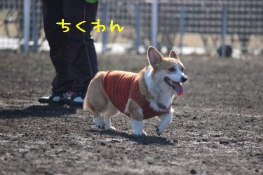 ちくわん
