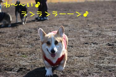 ニコニコ麦さん☆
