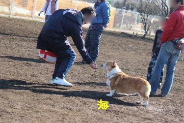 心つかみ中。