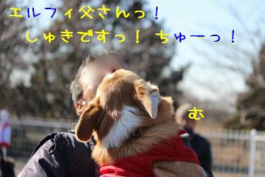 しゅきですっ!