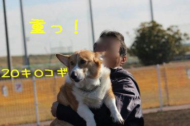 儀式。