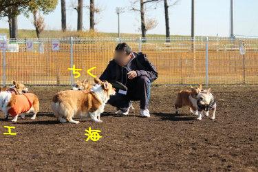 遊んでもらう。