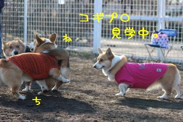 お着替え。