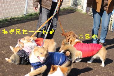 ご挨拶2