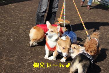 ご挨拶1