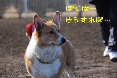 途方に暮れる海くん。