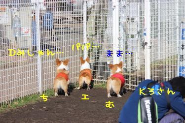 3コギっちり