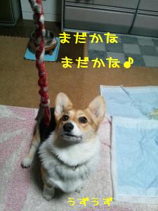 うずうず。