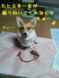 投げてくだちゃい~。